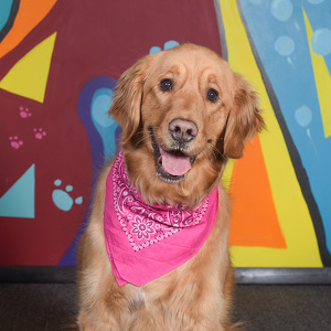 Fundraising Page: Lauren Miller